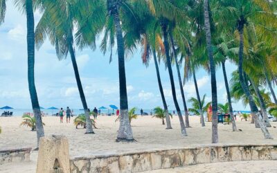 Isla Mujeres : guide pratique pour une escapade inoubliable depuis Cancún