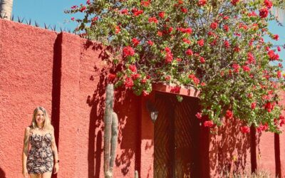 Ma vie quotidienne au Mexique : ce qui a vraiment changé dans ma routine