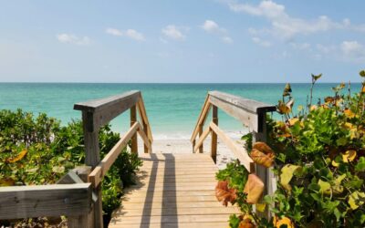 Vivre près de la plage au Mexique : la face cachée que personne ne raconte