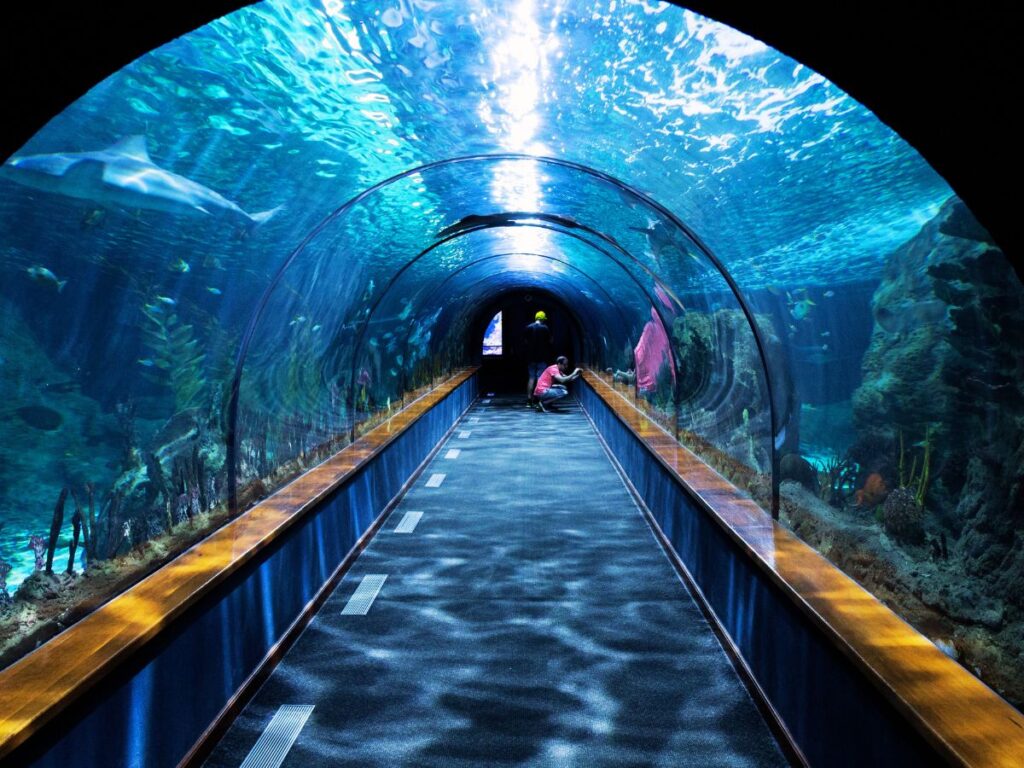Aquarium en Floride