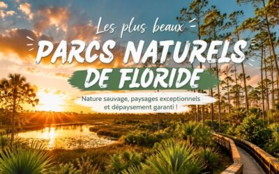 Les plus beaux parcs naturels de Floride à découvrir absolument