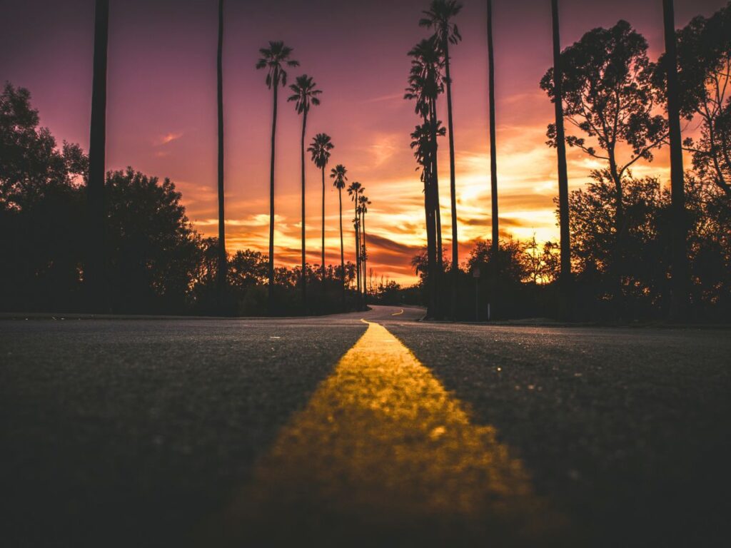 route en Floride , bordée de palmiers