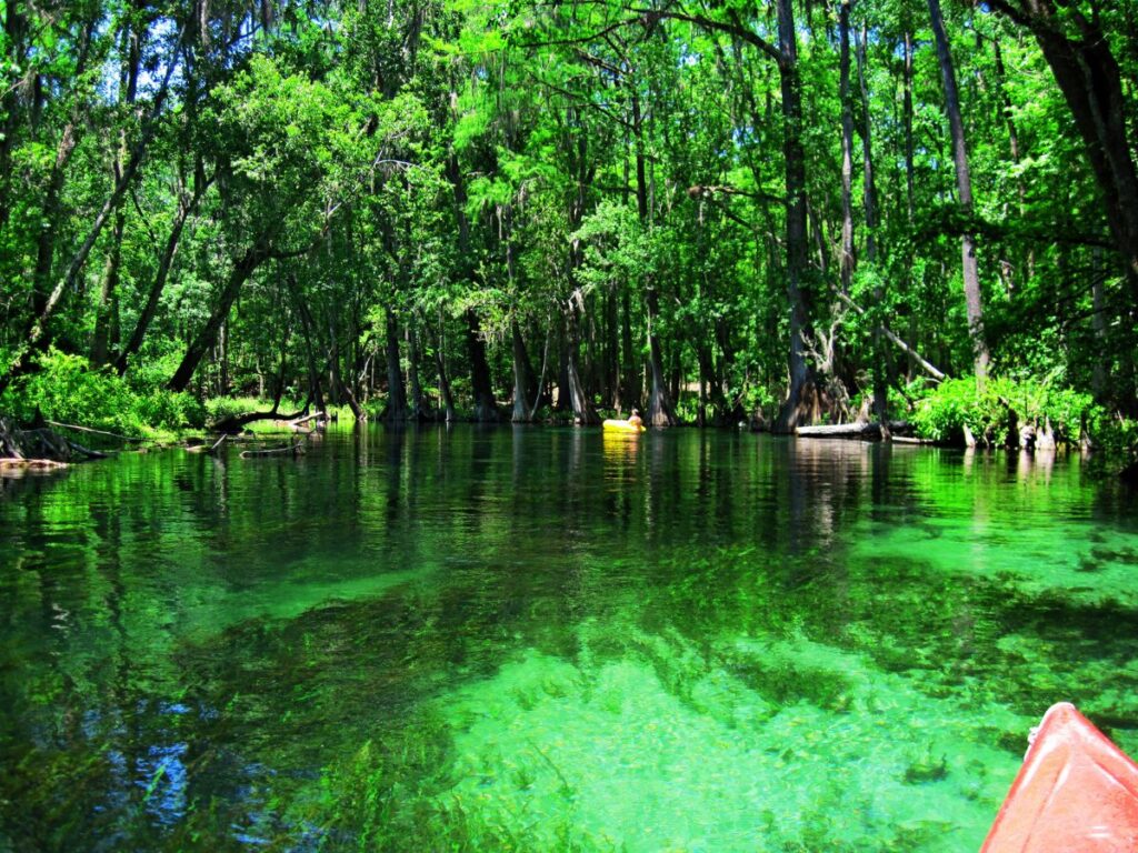  Ichetucknee Springs State Park Floride