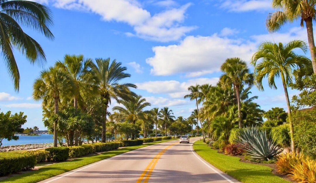 Route bordée de palmiers en Floride sous un ciel bleu, idéale pour illustrer quand partir en Floride.