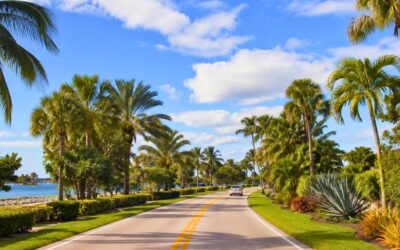 Le guide des saisons : quand partir en Floride selon tes envies ?
